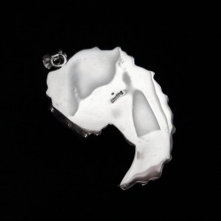 Pendentif Griffe d'Ours Véritable en Argent Turquoise & Corail