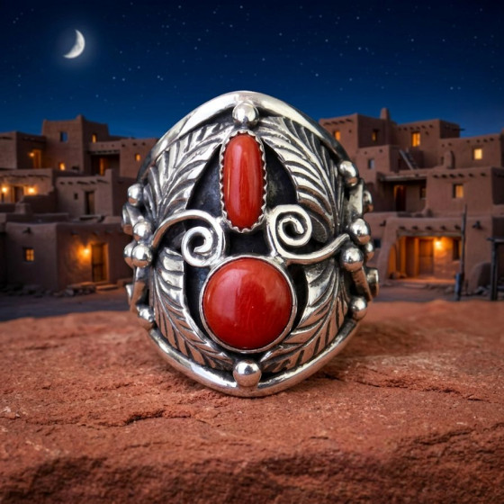 Native American Women's...