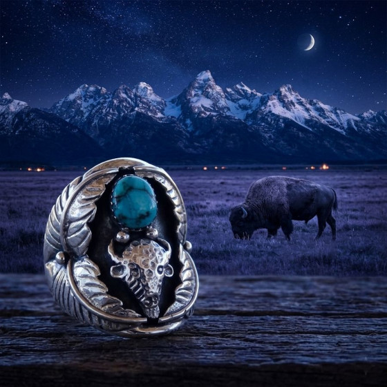 Native American Silver Ring...