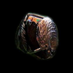 EAGLE AND BEAR CLAW SILVER RING