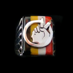 Anello in argento 925 Simbolo indiano Movimento indiano